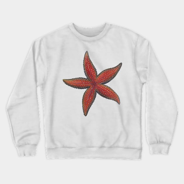 Common Sea Star Lg Crewneck Sweatshirt by JadaFitch